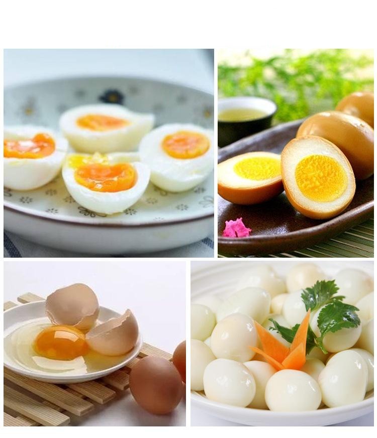 Plastic Egg Cutter