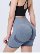 High Waist Hip-lifting Sports Shorts Yoga Pants Training Pants